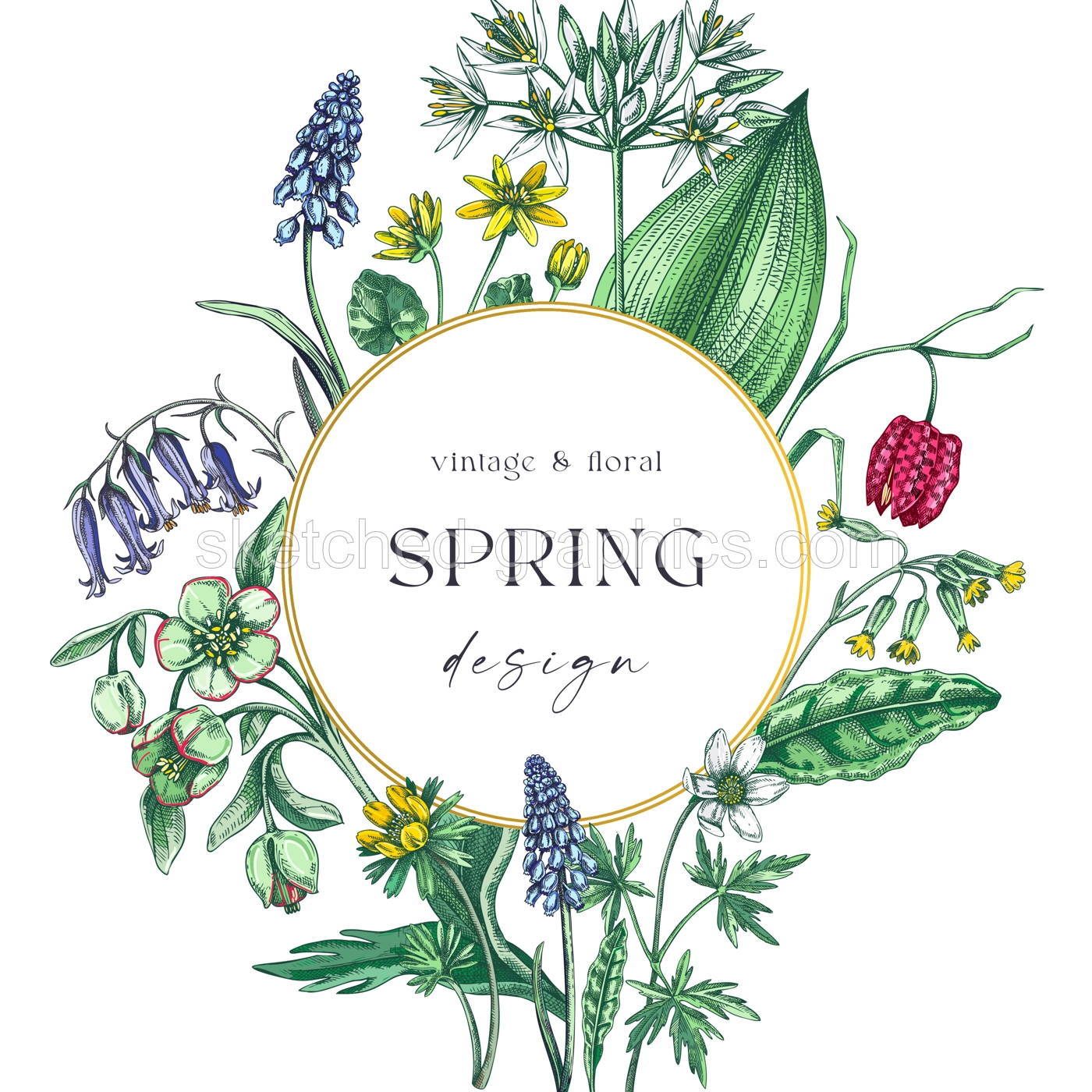 Elegant spring poster design. Wildflowers print in color. Woodland wild flower sketches. Floral background. Botanical card, invitation template . Hand drawn vector illustration, NOT AI Illustration
